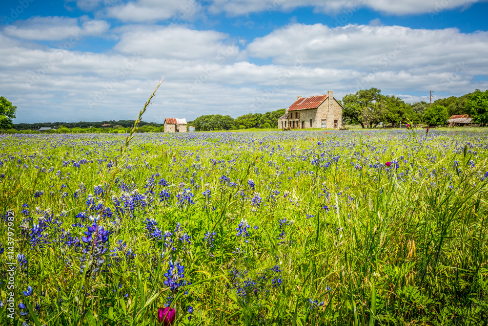 Bluebonnet House (mid-19th century) Marble Falls Built in the mid-19th ...