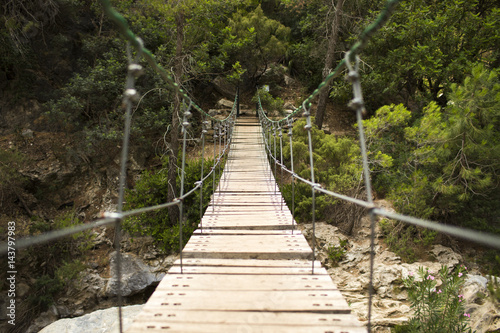 Wood bridge photo