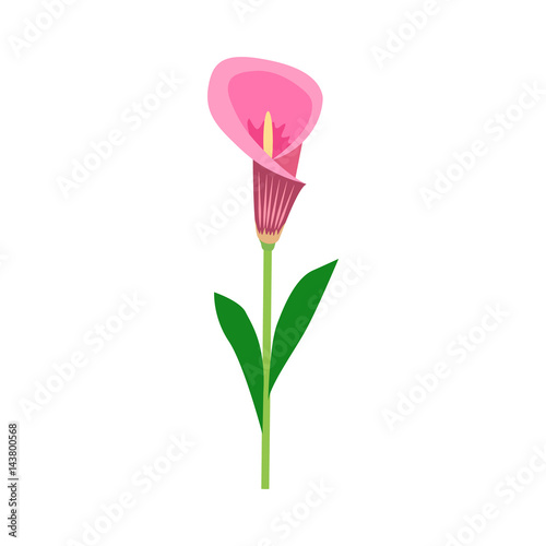 Flower flat icon