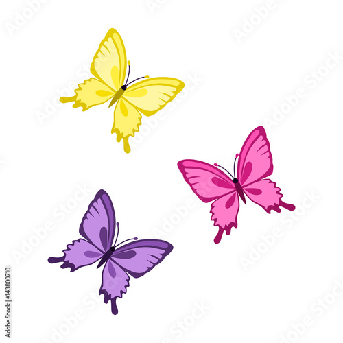 butterfly flat icon © egorvector