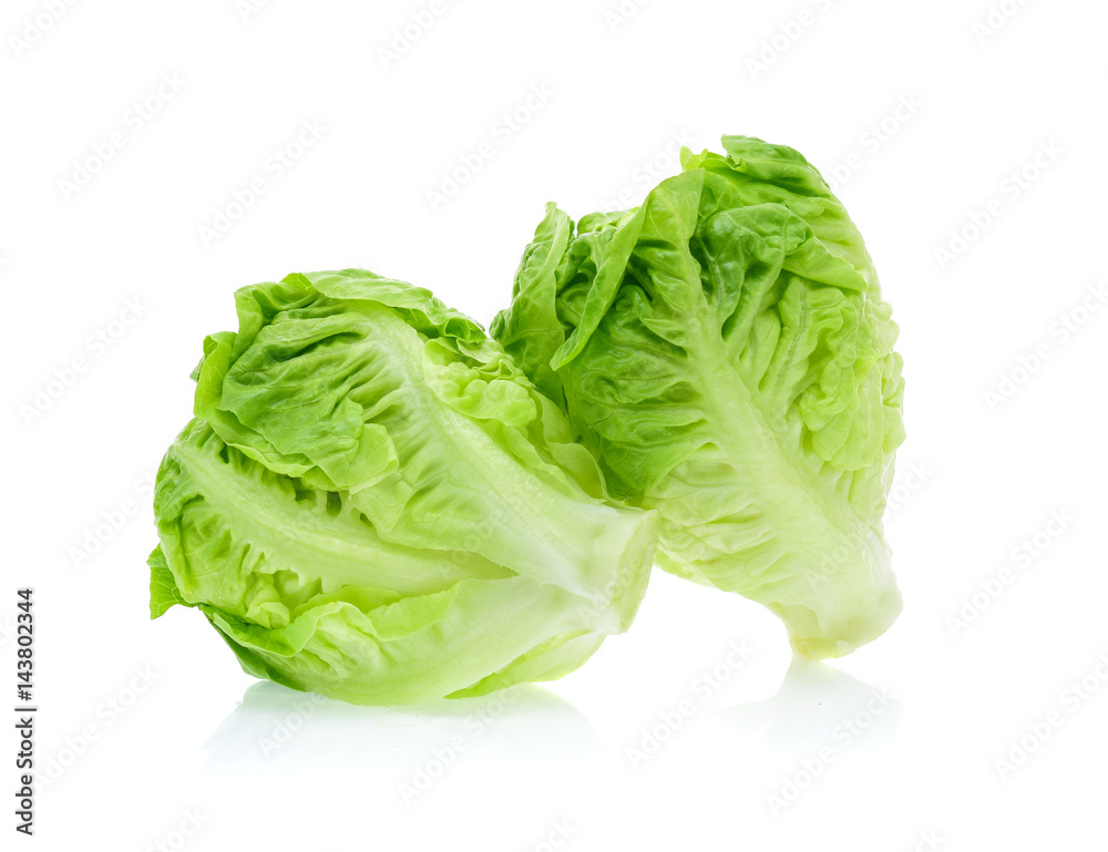 baby cos (lettuce) on white background baby cos (lettuce) on white background
