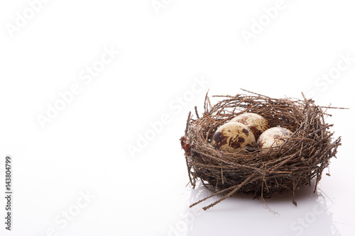 Quail eggs in a nest.