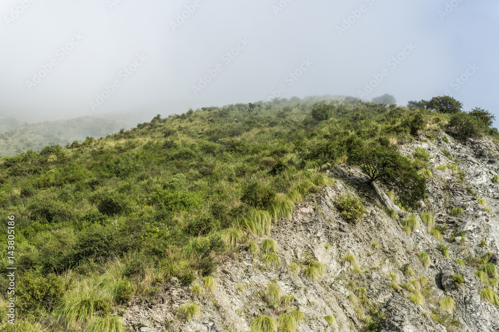 mountain on which the fog