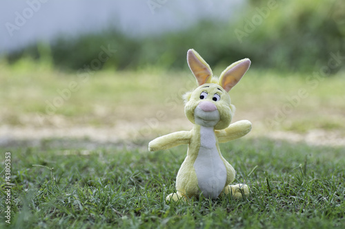 Rabbit dolls on the grass © supanee2550