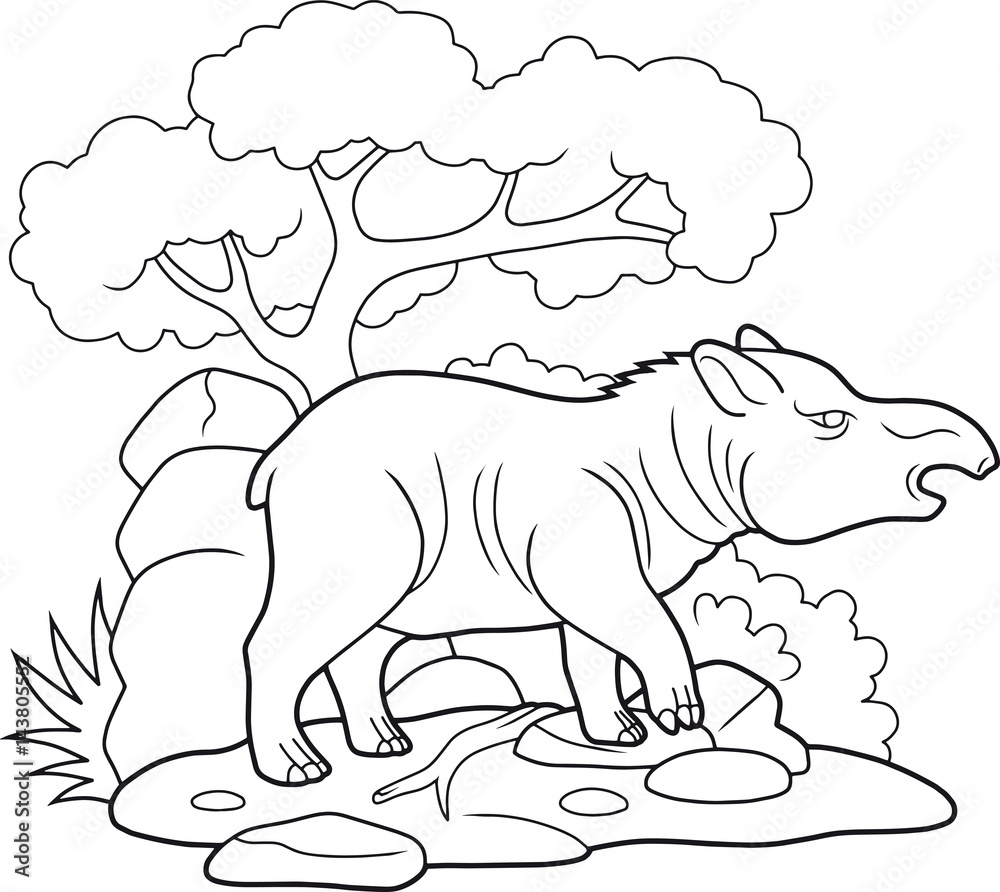 Fototapeta premium Wild tapir went for a walk