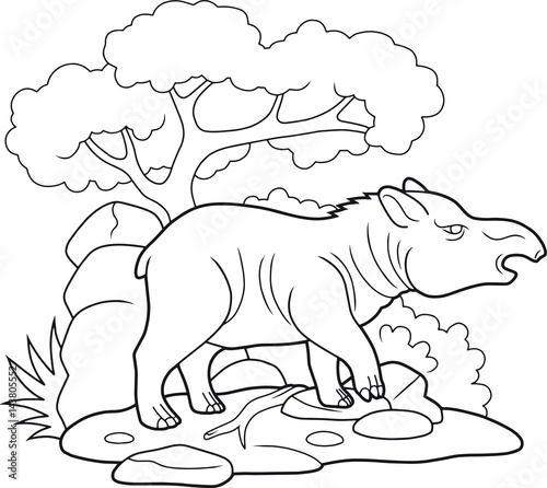 Wild tapir went for a walk