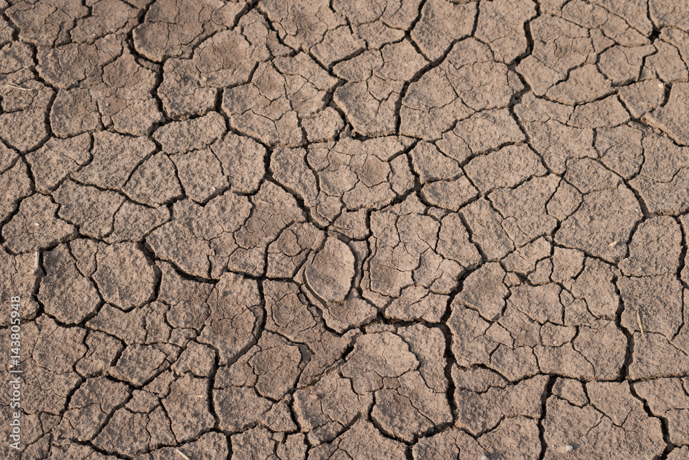 Dry and cracked earth texture. Global climate. Dry and cracked earth texture. Global climate.