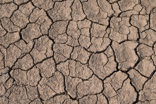Dry and cracked earth texture. Global climate.