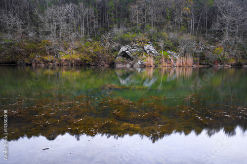 Long exposure forest view with silky river and dynamic colored forest