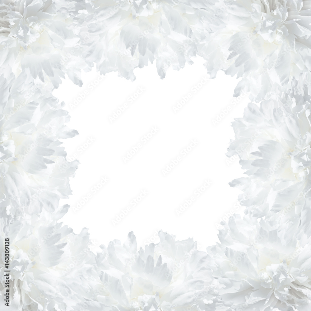 Elegant frame of lush white peonies Elegant frame of lush white peonies