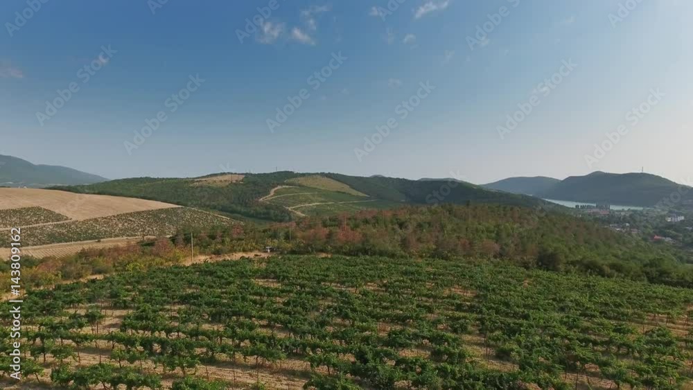 Aerial view on vineyards in Abrau Durso, Caucasus, Russia, 4k
Aerial view on vineyards in Abrau Durso, Caucasus, Russia, 4k