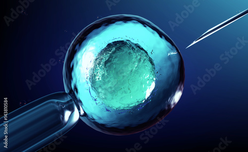 3D rendering of an artificial insemination or in-vitro fertilization of an egg cell,ovum or zygote photo