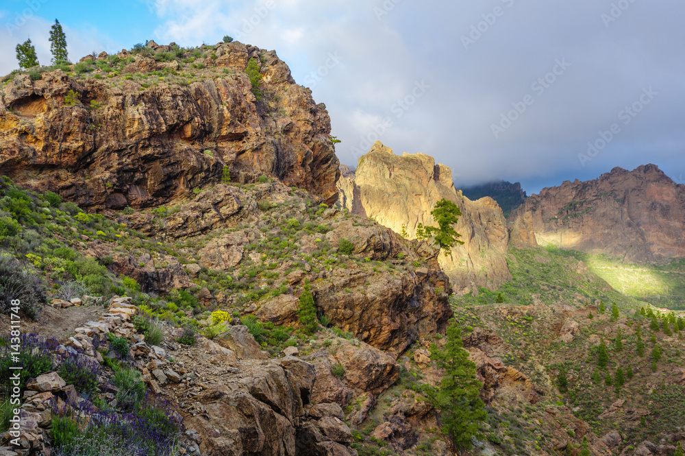 Mountain landscape with alone tree on the edge of  precipice. Grna Canaria