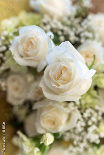 close-up of bouquet of white roses