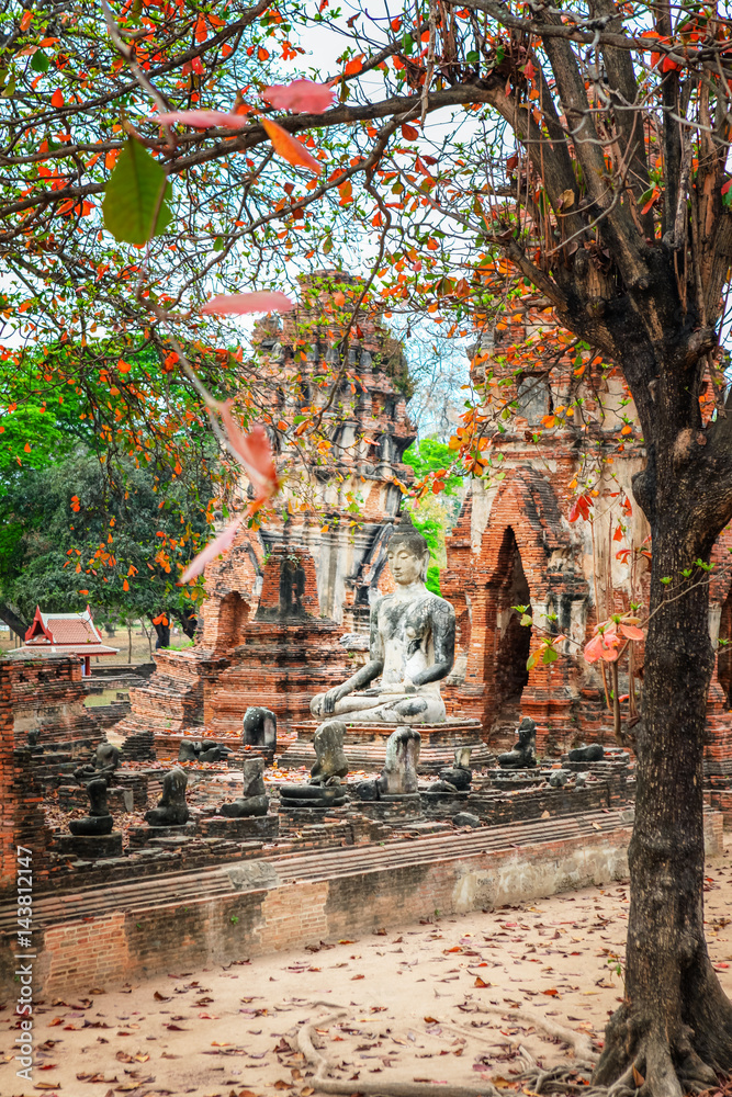Obraz premium Wat Mahathat in Buddhist temple complex in Ayutthaya near Bangkok. Thailand