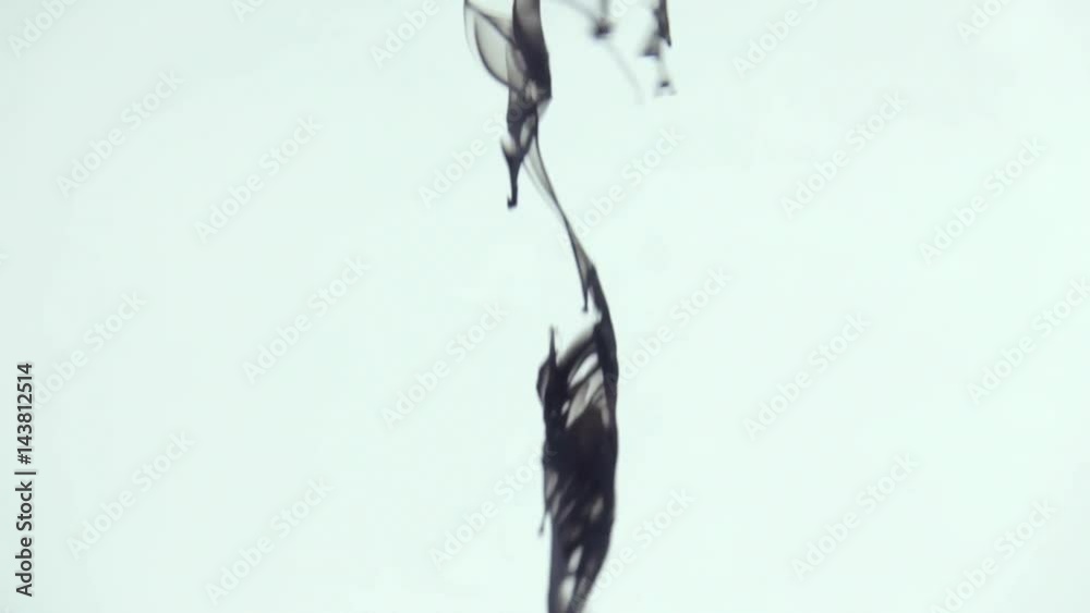 Black paint beautifully mixed in a pool of water.It can be used for backgrounds, transition, for presentations or video screensavers. Black paint beautifully mixed in a pool of water.It can be used for backgrounds, transition, for presentations or video screensavers.