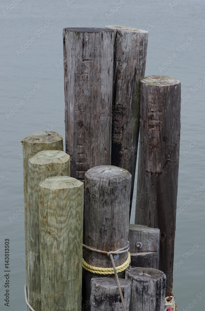Naklejka premium Pilings