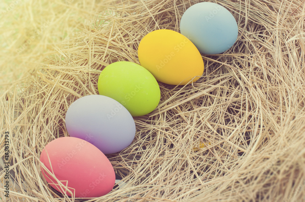 Fototapeta premium Easter eggs in the nest