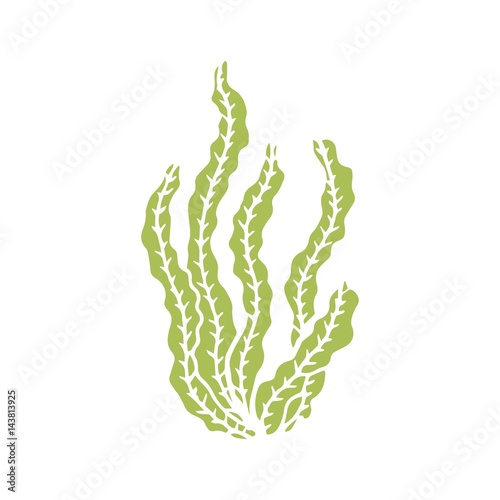 An Alga vector