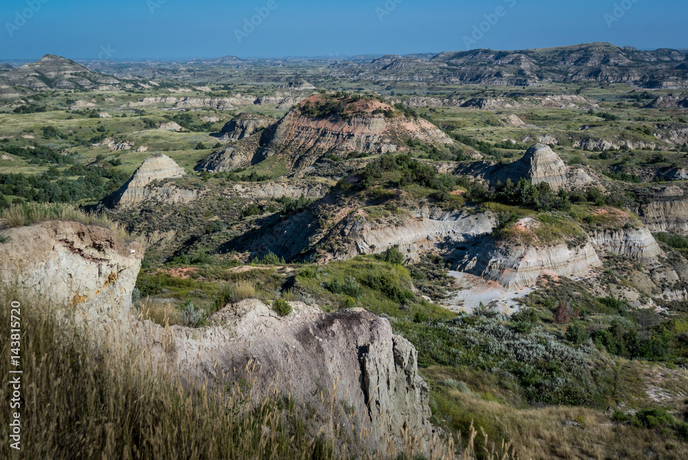 Naklejka premium Badlands Landscape