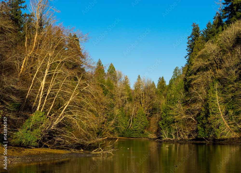 Obraz premium Cove Along Sound