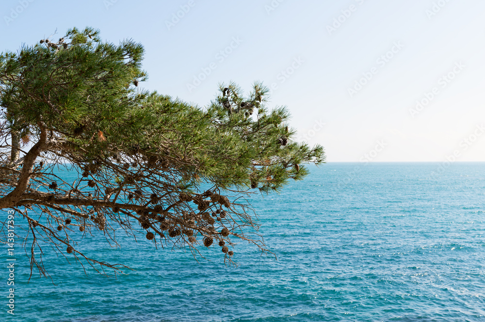 Coast Brave (Costa Brava) - Girona (Spain) Coast Brave (Costa Brava) - Girona (Spain)