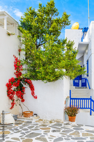 Fototapeta Naklejka Na Ścianę i Meble -  Traditional greek houses with spring flowers on Paros island. Cyclades. Greece.