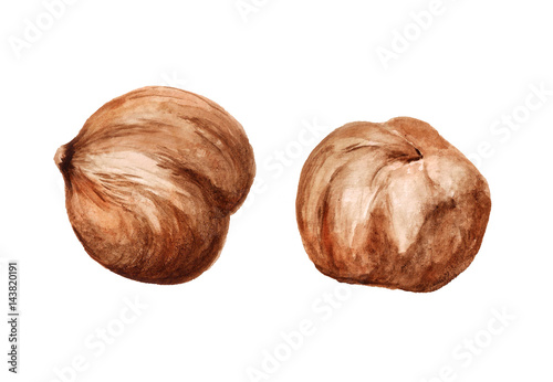 Two shelled hazelnut