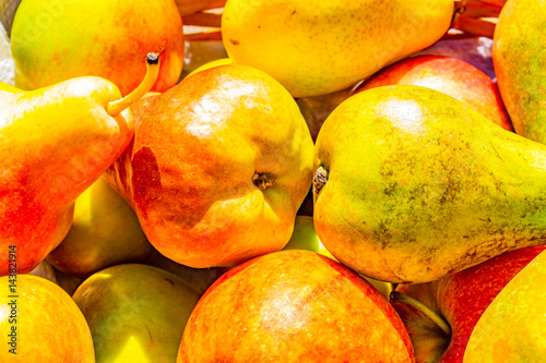 selection of cox apples and blush and conference pears