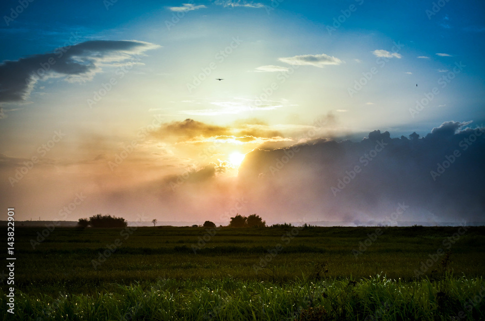 Beautiful sunset over the green large field