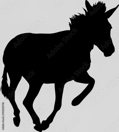 Hand drawn silhouette of a wild zebra on the run - Illustration  black isolated on white background