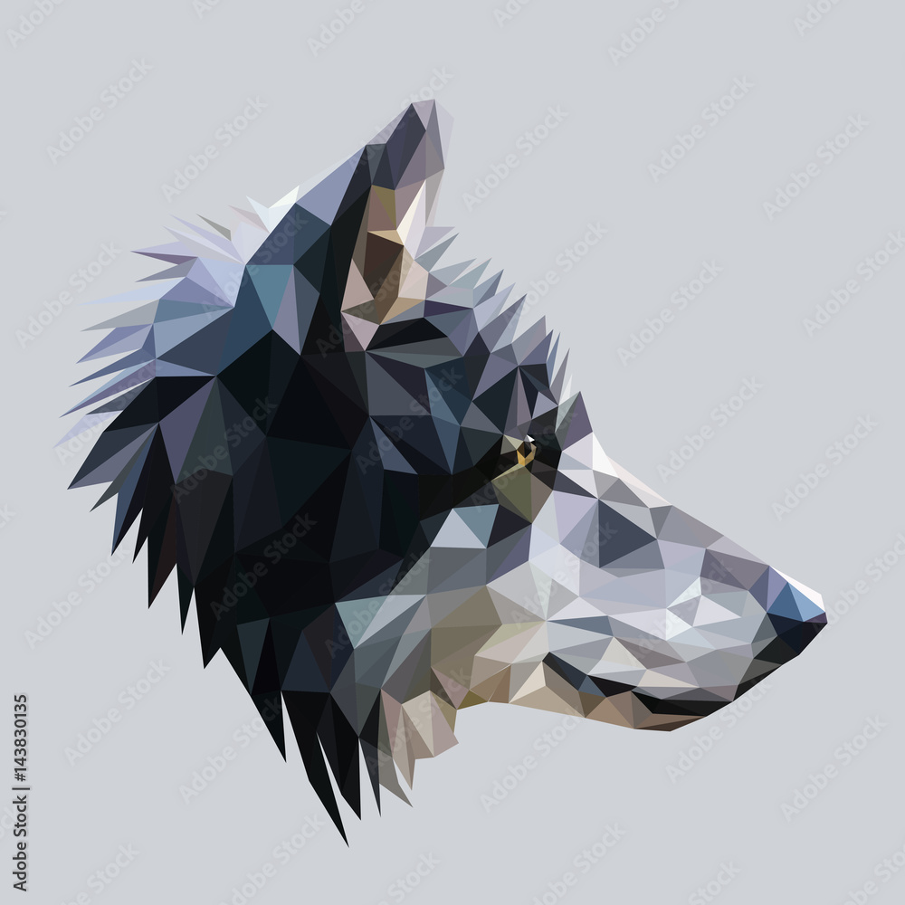Obraz premium Projekt Wolf low poly. Ilustracja wektorowa trójkąta.