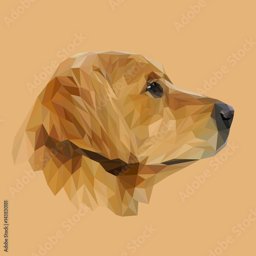 Fotografie, Obraz Golden Retriever Dog animal low poly design