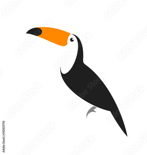 Toucan. Exotic bird on white background