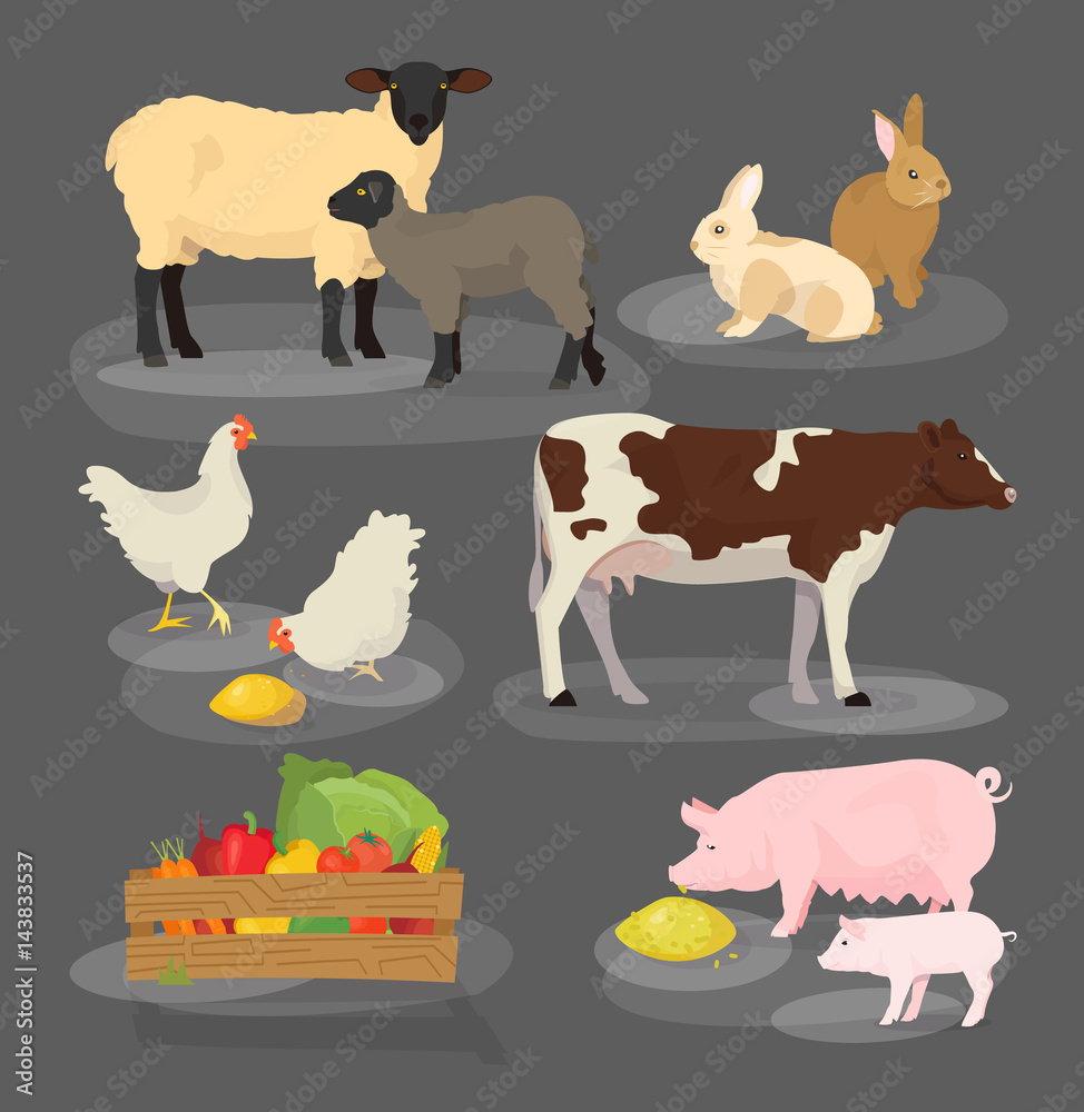 Obraz premium Farm animals set. Cartoon household icon collection.