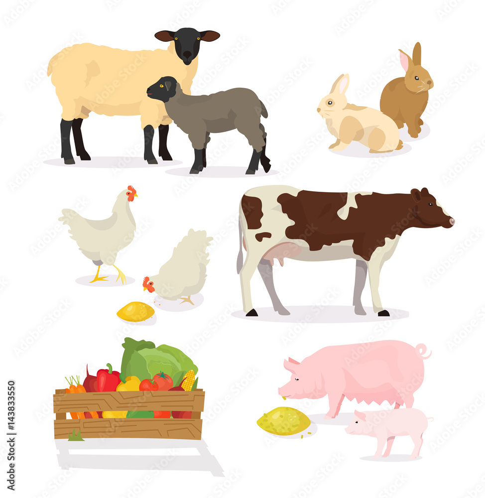 Farmer animals set in cartoon style. Vector illustration of pig, cow, rabbit, sheep, chicken, lamb. Countryside, rural cattle, poultry.