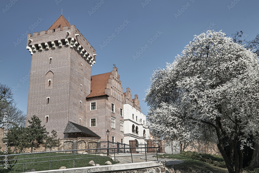 Tower reconstructed royal castle in spring  in Poznan.