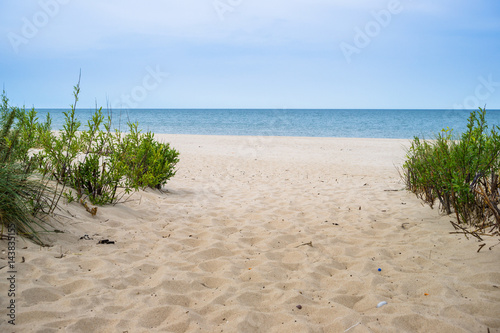 Obraz na płótnie Wejście na plażę w salonie