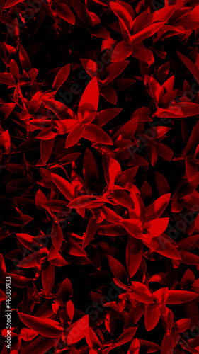 high contrast red leaves background