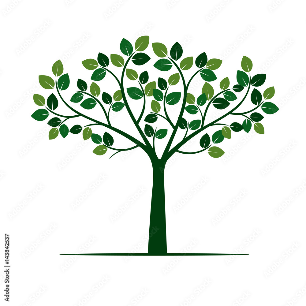 Naklejka Green Tree with Leafs. Vector Illustration.
