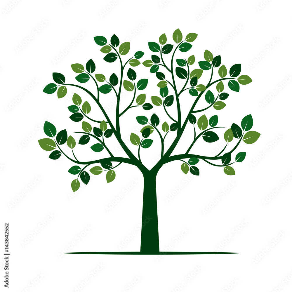 Obraz premium Green Tree with Leafs. Vector Illustration.