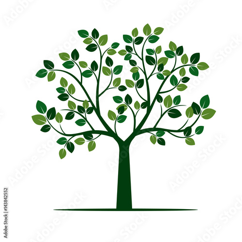 Green Tree with Leafs. Vector Illustration.