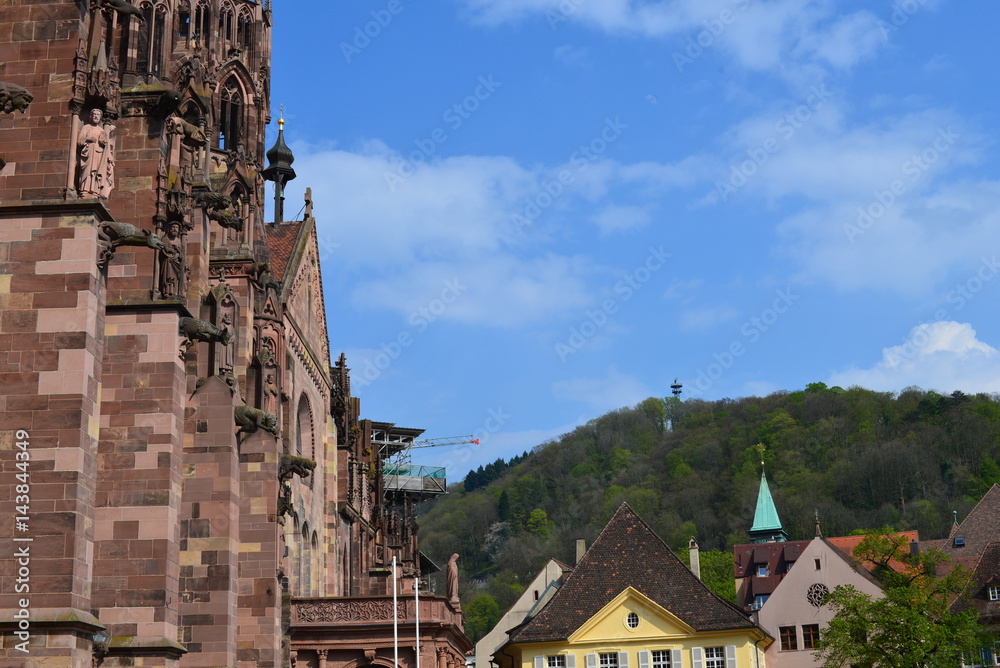 Freiburger Münster