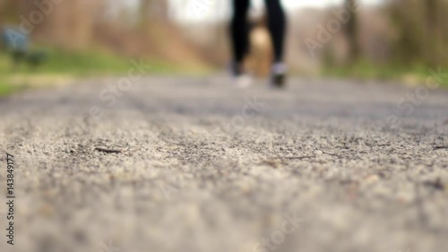 Wallpaper Mural Woman walks dog through nature park in evening woodland Torontodigital.ca