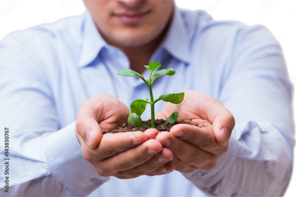 Man holding green seedling isolated on white Man holding green seedling isolated on white