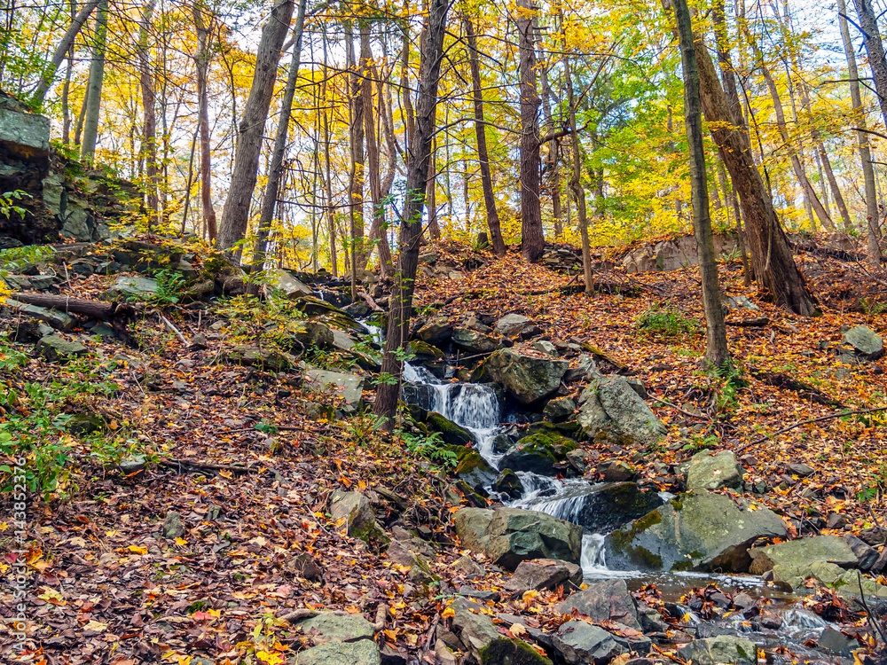 Autumn Hillside Stream Autumn Hillside Stream