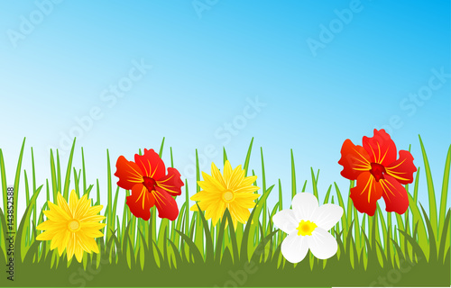 Glade with flower
