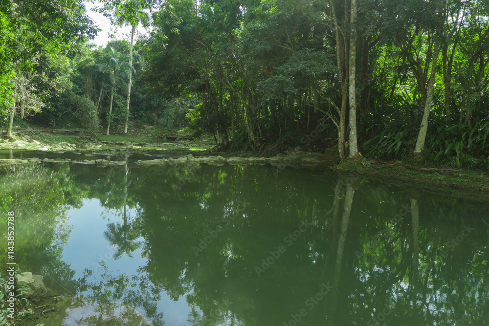 Las terrazas, Cuba. Province of pinar del rio. La terrazas it's a natural touristic place. Las terrazas, Cuba. Province of pinar del rio. La terrazas it's a natural touristic place.