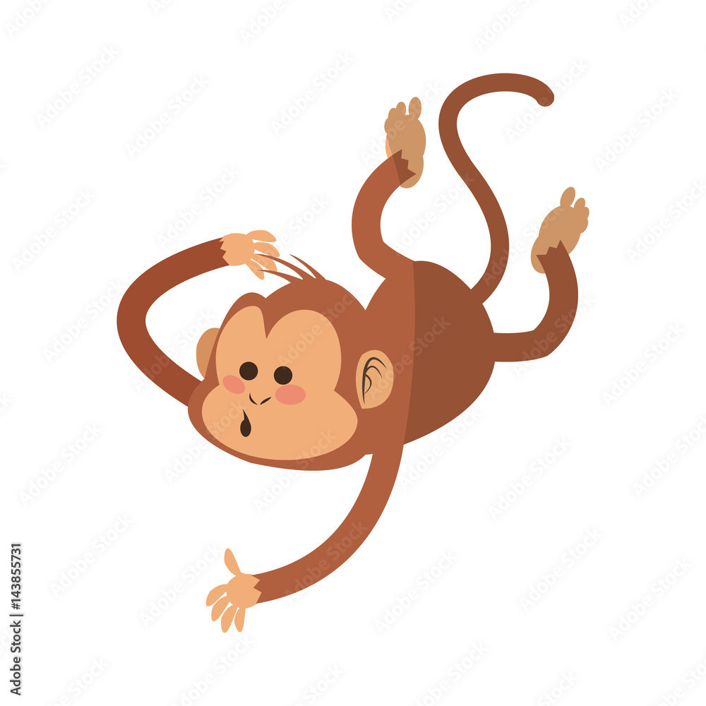 monkey cartoon icon over white background. colorful design. vector illustration