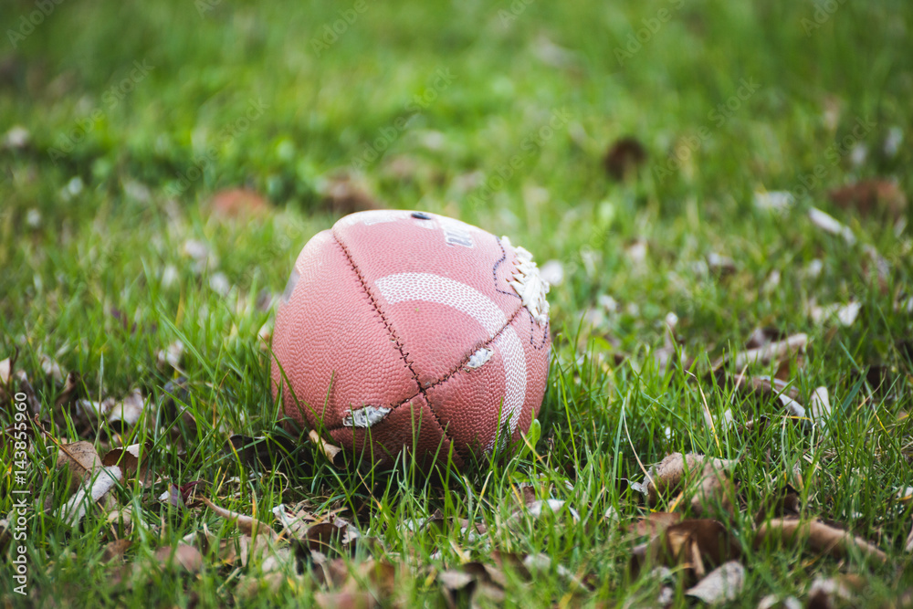 Football Laying in Grass Lawn